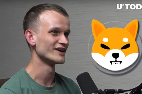 Ethereum Creator Vitalik Buterin Thanks SHIB Community: Details