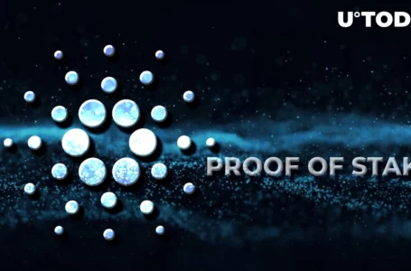 Cardano Outperforms Current Proof-of-stake Chains: Report