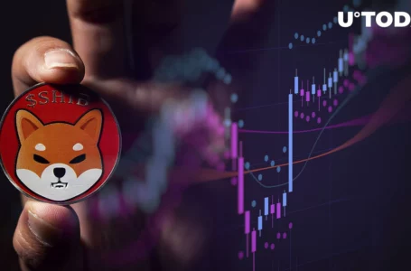Shiba Inu Closes Gap with Dogecoin as SHIB Goes Up in Market Cap Top: Details