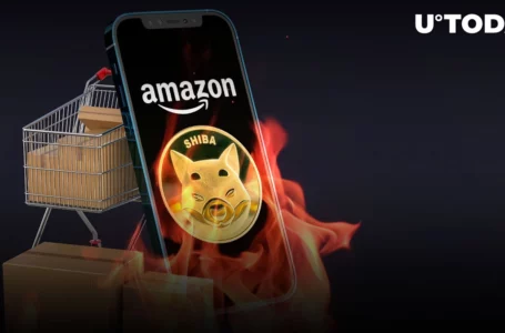 SHIB Burn Rate Spikes 889%, While Amazon Burner Removes Almost 3 Billion SHIB in Total