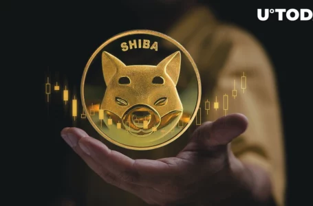 SHIB Might Lose One Zero in Price; Key Pattern Seems to Be Forming