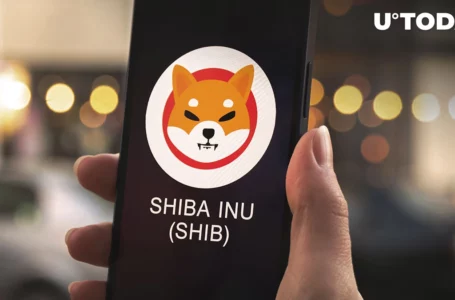 Shiba Inu Enters Stalemate, Here’s When It Might End