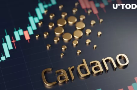 Cardano Users Should Watch These Crucial Dates on Road to Vasil: Details
