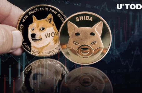Shiba Inu-Dogecoin-Led Meme Economy Sees 16% Jump in Trading Volumes Amid Market Drop