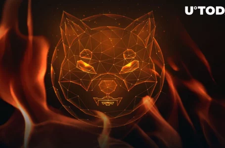 SHIB Lead Dev Explains How Entire SHIB Supply Can Be Burned