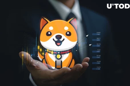 BabyDoge Holder Number Again Surpasses SHIB’s After Reaching New All-Time High