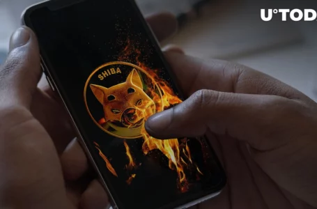 Tens of Trillions of SHIB Could Be Burned with This New App: Details