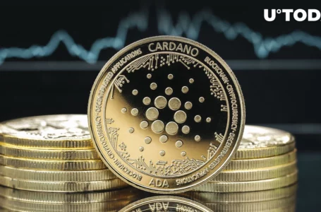 Cardano Records Millions More in Transactions Since Vasil Announcement