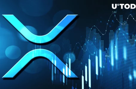 XRP Suddenly Jumps 8%, Here Is Striking Thing About This Latest Price Increase