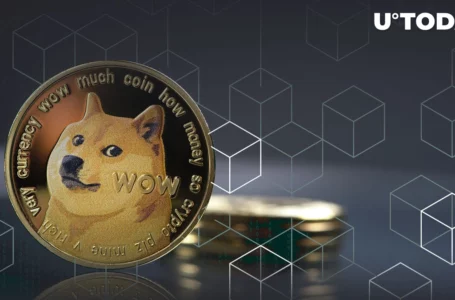 Here’s Latest Development on Dogecoin’s Building Block, Libdogecoin: Details