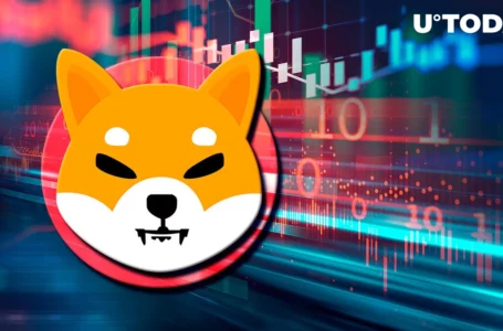 Shiba Inu Touches Key Support That Produced 100% Rise in July; What Happens Next