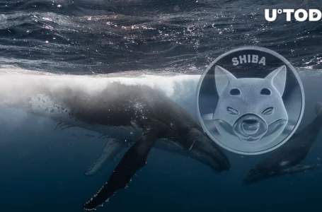 Whales Dump Record 1.2 Trillion SHIB, Here’s How They Wanted to Benefit Here