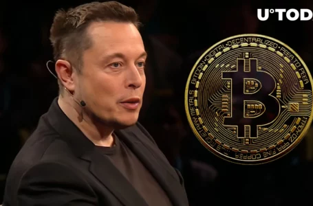 Doge Cofounder Kind of Reminds Elon Musk about Bitcoin