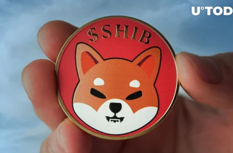 30% of Shiba Inu Holders Are Now Holding for Long-Term Reasons: Report