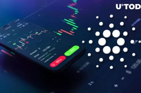 Vasil Update: Cardano DEX TVL up by 565,000% Just Days After Launch