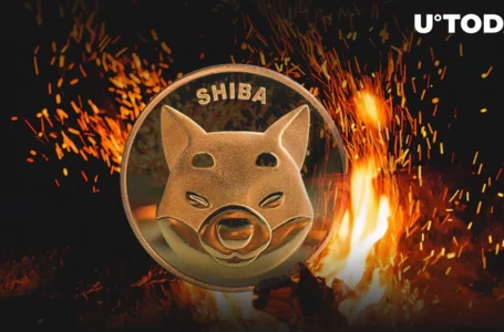 SHIB Burn Pace Spikes 1,502%, Here’s How Much SHIB Was Removed