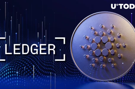 Cardano’s Vasil Now 24 Hours Away, Hardware Wallet Ledger Announces Support