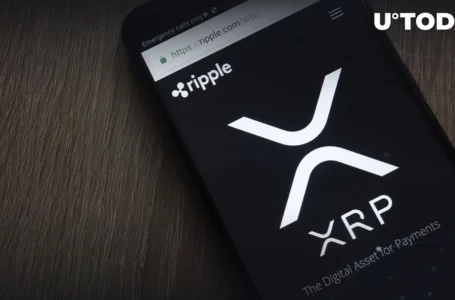XRP Shows Most Bullish Set-up in Crypto Now, This Trader Insists