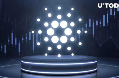 Cardano (ADA) Surpasses BNB and Avalanche with $11.94 Billion Staked
