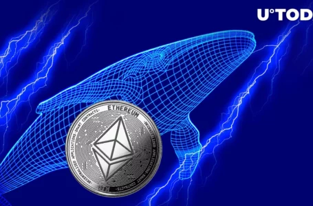Ethereum Whales Rapidly Dropped Their Holdings After Merge, Here’s Why