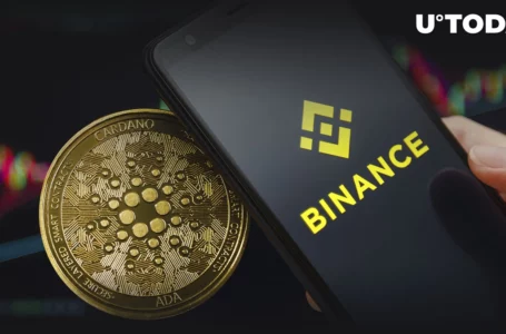 Cardano (ADA) Withdrawals on Binance Might Be Temporarily Suspended at These Two Times: Details