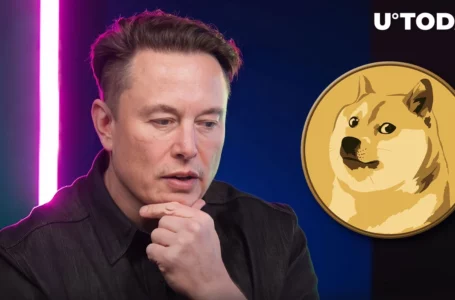 Elon Musk and DOGE Creator on Crypto Market Stance: “Things Can Always Get Worse”