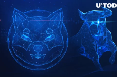 Shiba Inu (SHIB) Moving Back to Important Price Range: Here’s What’s Next