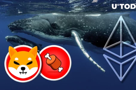 Shiba Inu’s BONE Gains Solid Traction Among Ethereum Whales: Details