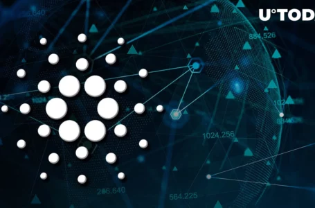 Cardano Vasil: Here’s How Network Looks Three Days Later