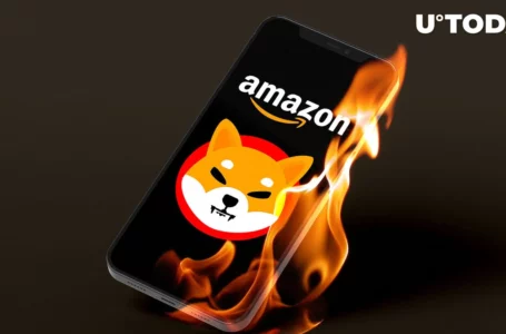 Amazon SHIB Burner: Next Few Days May Be Crucial for Burning Record Amount of SHIB