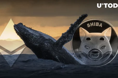 Ethereum Whales Still Hold a Lot of SHIB Despite Cutting Positions: Details