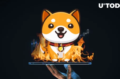 BabyDoge Burns Diminish Those of SHIB by Record 46x as BabyDoge Sticks to Plan