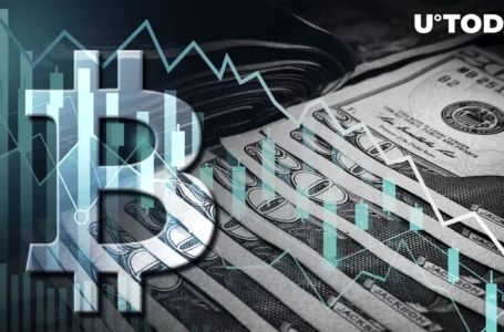 $149 Million Lost to Crypto Market Liquidations; Here’s Who Partly Sold BTC