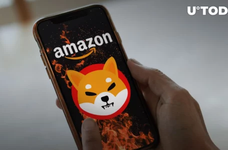 SHIB Burns Via Amazon Now Available in Brand New Way: Details
