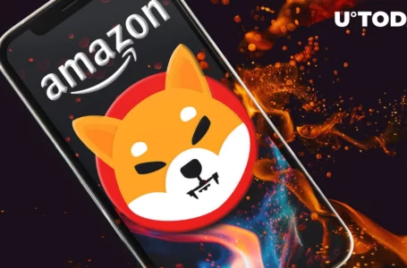 “Amazon SHIB Burner” Sets Record by Destroying Highest Monthly Amount This Year