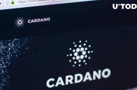 Cardano Makes Stunning Progress Toward Vasil Hard Fork