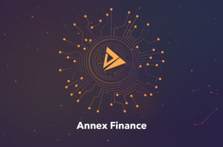 Annex Finance Coin (ANN) Review