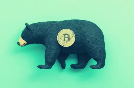 Crypto Market Caught up in Global Winter – Here’s When Bitcoin Actual Bull Run Will Begin