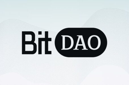 BitDAO (BIT): An Open DAO (Decentralized Autonomous Organization)