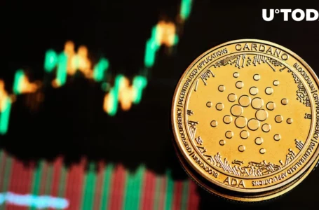 This Is Why Cardano Performed Best Among Top 10 Cryptocurrencies in Last 7 Days