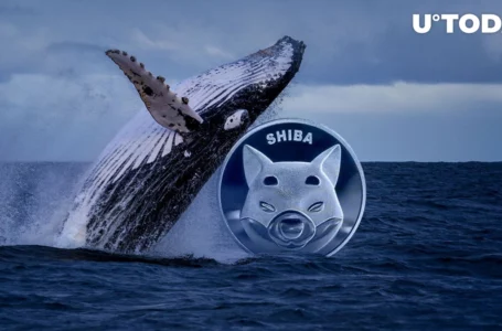 This Whale Buys SHIB Worth $22,2 Million in One Week: Details