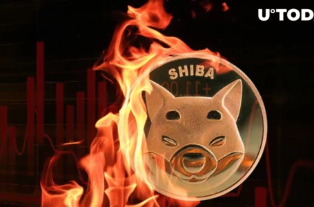 Shiba Inu Burning Amount Declines in September With 272 Million SHIB Burned Past Week