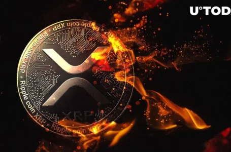 XRP Can Now Be Burned via Bitcoin Payment App on XRPL, Here Is How