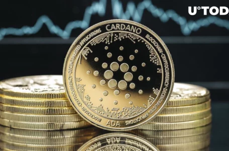 Here’s Why Cardano Is Undervalued by Crypto Market