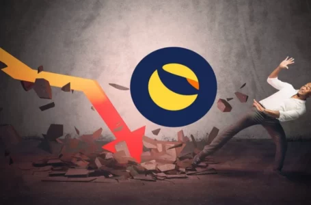 Terra classic (LUNC) Price Crash is Imminent – Terra whistleblower Warns Investors