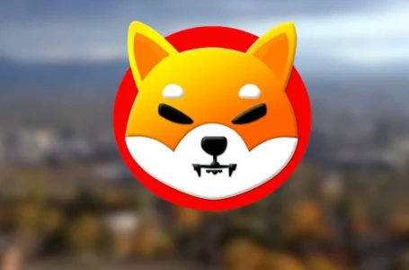 Shiba Inu Burn Rate Increase 3x in a Day – Will SHIB Price See The Same Spike?