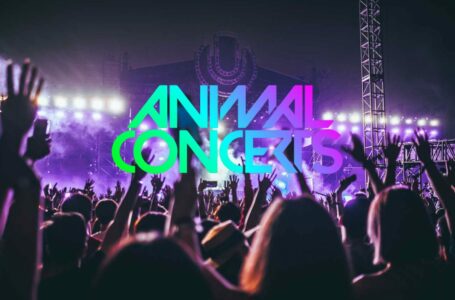 Animal Concerts coin (ANML) Review