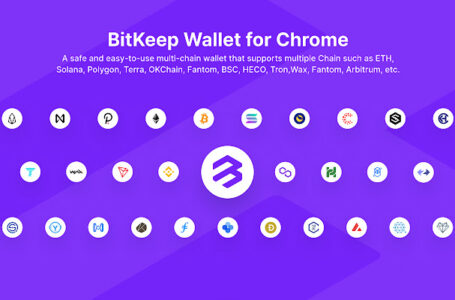 BitKeep Apk Review: A Decentralized Multi-Chain Cryptocurrency Wallet