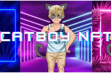 Catboy coin (CATBOY) Review: