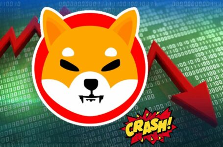 Shiba Inu Traders To See Worst Days! SHIB Price To Drop Heavily